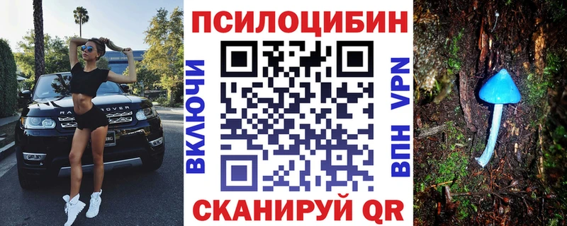 Псилоцибиновые грибы Psilocybe даркнет наркотические препараты Сегежа